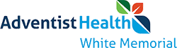 logo 13