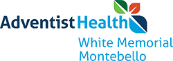 logo 17